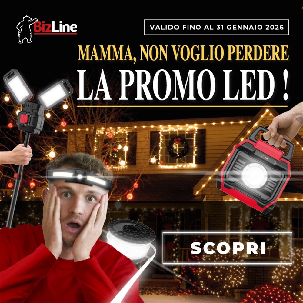 Bizline Promo di dicembre 2025