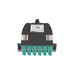 OM4 24-FIBER TOTAL, OPTIMIZED LOW L