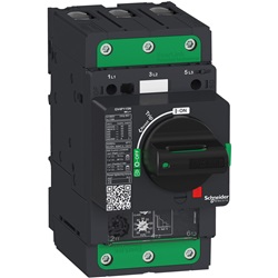 Interruttore salvamotore magnetotermico 25A 25kA Everlink