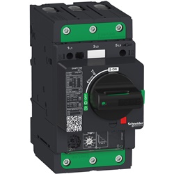 Interruttore salvamotore magnetotermico 25A 25kA Everlink