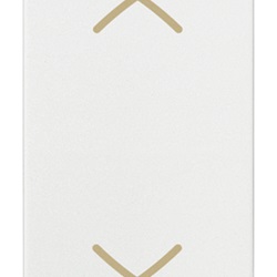 Pulsante commutatore 2P 10A bianco