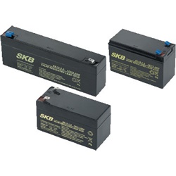Batteria al piombo sigillata 12V 7,2Ah per sistemi backup e alimentazione continua