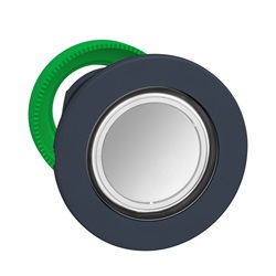 Harmony XB5, testa pulsante luminoso bianco Ø30 filopannello, in plastica, ad impulso, senza marcatura- per LED universale