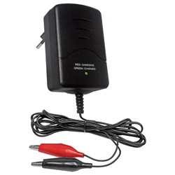 Caricabatterie compatto 12V 800mA per batterie al piombo uso elettrico professionale e domestico