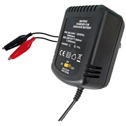 Caricabatterie piombo 2-6-12V 600mA ricarica sicura per impianti elettrici professionali