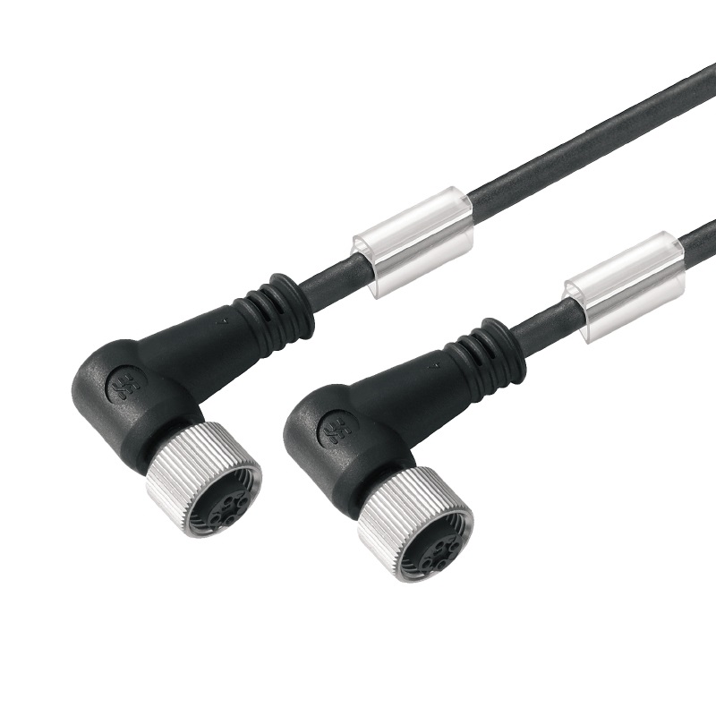 Cavo adattatore sensore-attuatore M12/M12 3 m doppio conduttore connettore maschio diritto