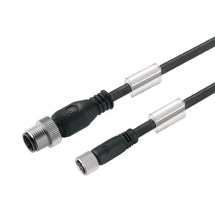 Cavo adattatore sensore-attuatore SAIL-ZW-M8BG 3 poli lunghezza 2 metri