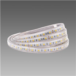 Strip Led 4851 120 MT NW IP67