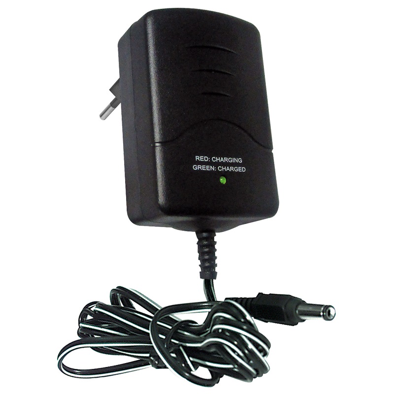 Caricabatterie compatto 12V 800mA per batterie al piombo con protezione sovraccarico