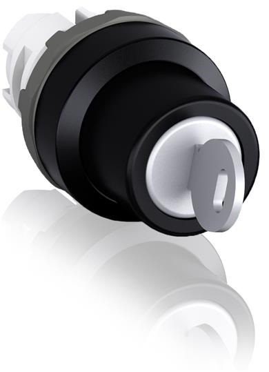 M2SSK2-102 SELETT. 2P A CHIAVE RONI