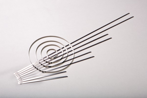 Fascetta inox punzone 207x5.9 resistente corrosione vibrazioni uso industriale