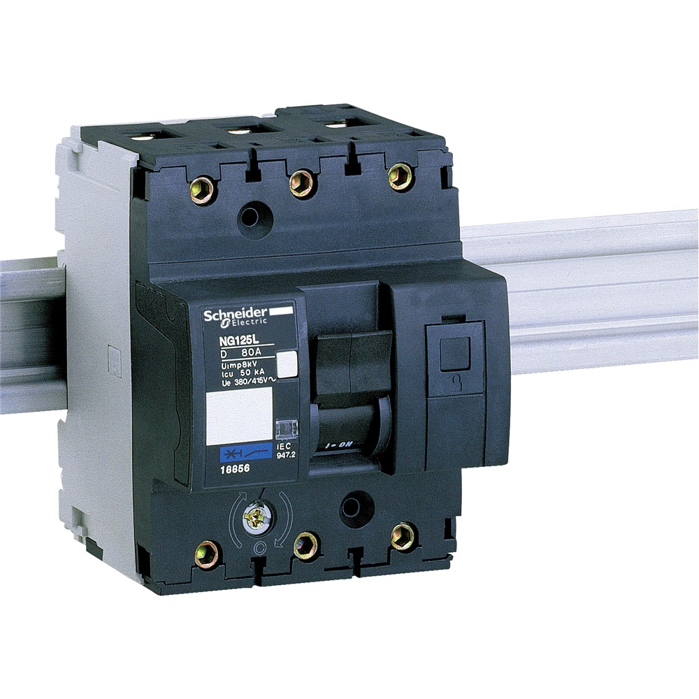 NG125 - circuit breaker - NG125L - 3P - 80A - D curve