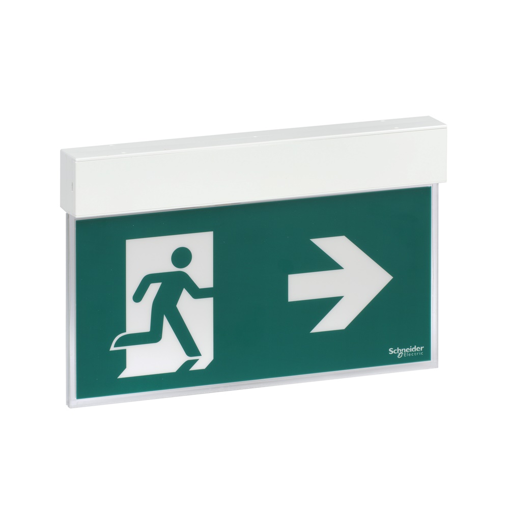 Apparecchio segnalazione sicurezza Exiway Easysign IP40 autoalimentato 30m 1,5h permanente/non permanente