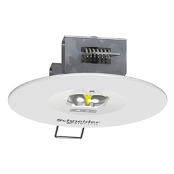 Exiway Smartbeam Incasso Vie di fuga , IP42, Activa, Permanente (SA), 1.5h durata, 200 lumen, batteria LiFePO4