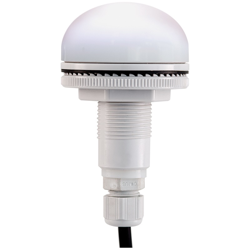 P50 S WHI    V12/24DAC