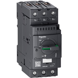 TeSys GV3L magnetic motor circuit breaker 80A EverLink