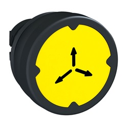 Testa pulsante - giallo - con etichetta