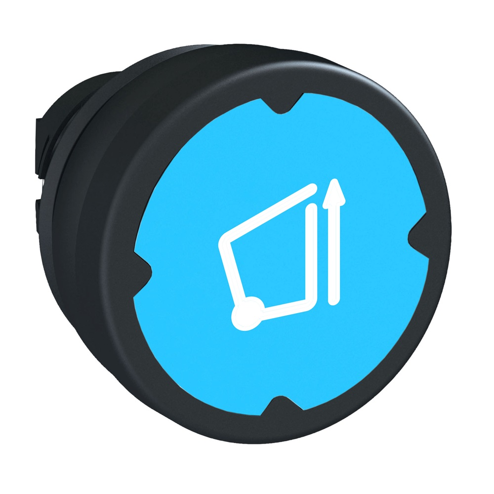 Testa pulsante - blu chiaro - con etichetta