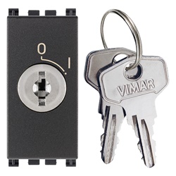 Pulsante 2P NO 16A con chiave estraibile grigio per controllo sicurezza elettrica