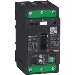 Interruttore salvamotore magnetotermico multifunzione 115A 25kA Everlink