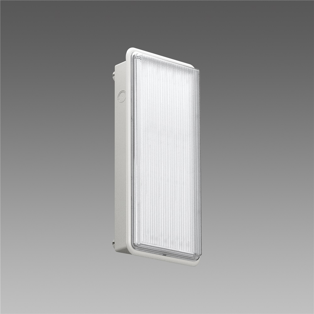 SAFETY-S.E. 3H 618 LED 2W CLD-E apparecchio illuminazione LED compatto risparmio energetico uso professionale