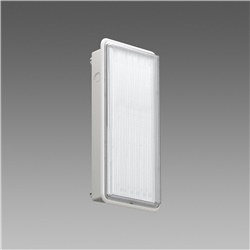 SAFETY-S.E. 3H 618 LED 2W CLD-E apparecchio illuminazione LED compatto risparmio energetico uso professionale