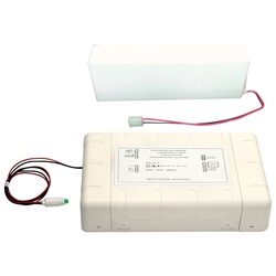 Modulo emergenza LED 45W 220V uscita 12V CC compatto per illuminazione sicurezza