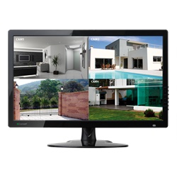 Monitor LED 24 Full HD 16:9, ingressi VGA/HDMI, audio, VESA 75x75, base tavolo inclusa