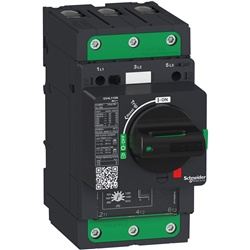 Interruttore salvamotore GV4L magnetico 80A 50kA Everlink