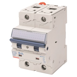 Interruttore magnetotermico alte prestazioni 2 poli 50A 16kA protezione circuiti civile industriale