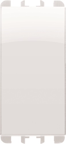 DEVIATORE 1P 10A 1M TST BG