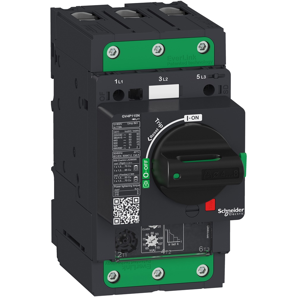 Interruttore salvamotore magnetotermico 115A 100kA Everlink