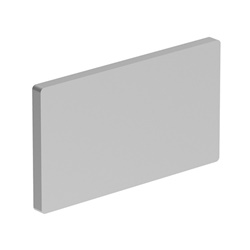 Etichetta neutra argentata plastica incisione 26,5x15mm per LPX AU105