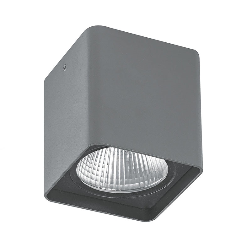 Plafoniera esterno IP55 alluminio verniciato LED integrato o GU10 20W resistente UV e corrosione grigio