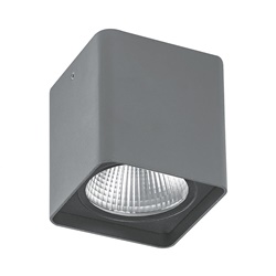 Plafoniera esterno IP55 alluminio verniciato LED integrato o GU10 20W resistente UV e corrosione grigio