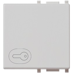 TASTO 2M SIMBOLO CHIAVE SILVER