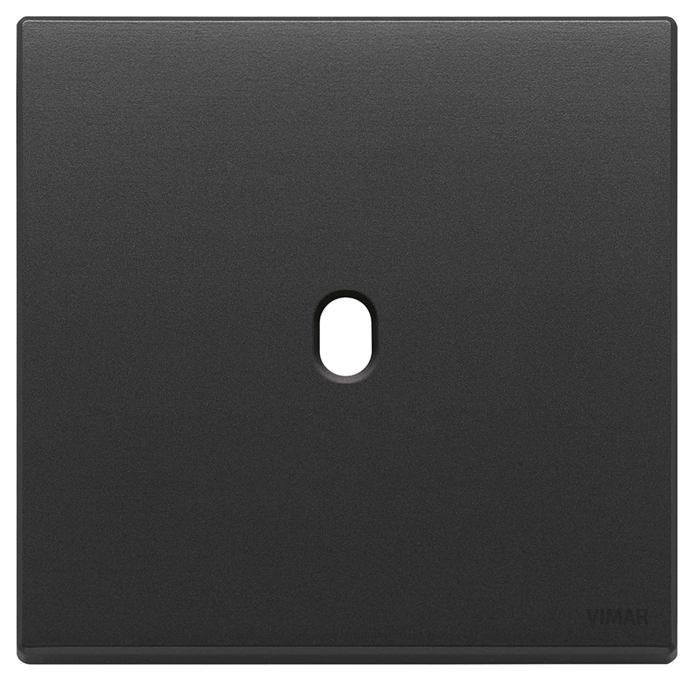 Placca 2 moduli Vintage metallo grigio antracite per comando elettrico