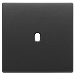 Placca 2 moduli Vintage metallo grigio antracite per comando elettrico