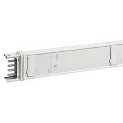 Canalis - Elemento di colonna - 250 A - 2,5 m - 4 derivazioni