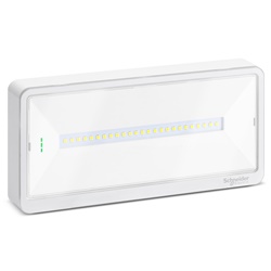 Exiway Light illuminazione sicurezza autoalimentata IP42 autodiagnosi 110lm multiscelta durata