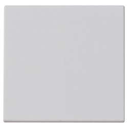 TASTO 2M COMANDO RADIOFREQUENZA SIL