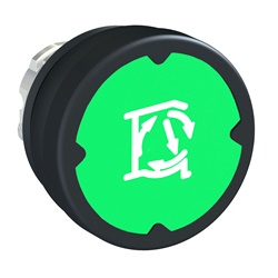 Testa pulsante - verde - con etichetta