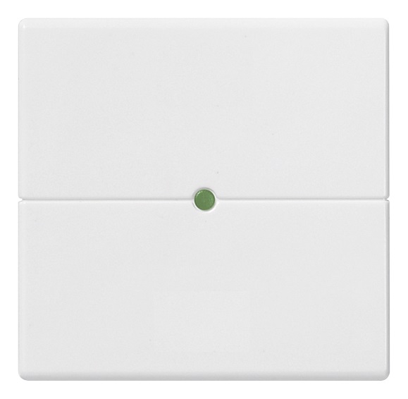 TASTO 2M NEUTRO PULS. BASCULANTI BI