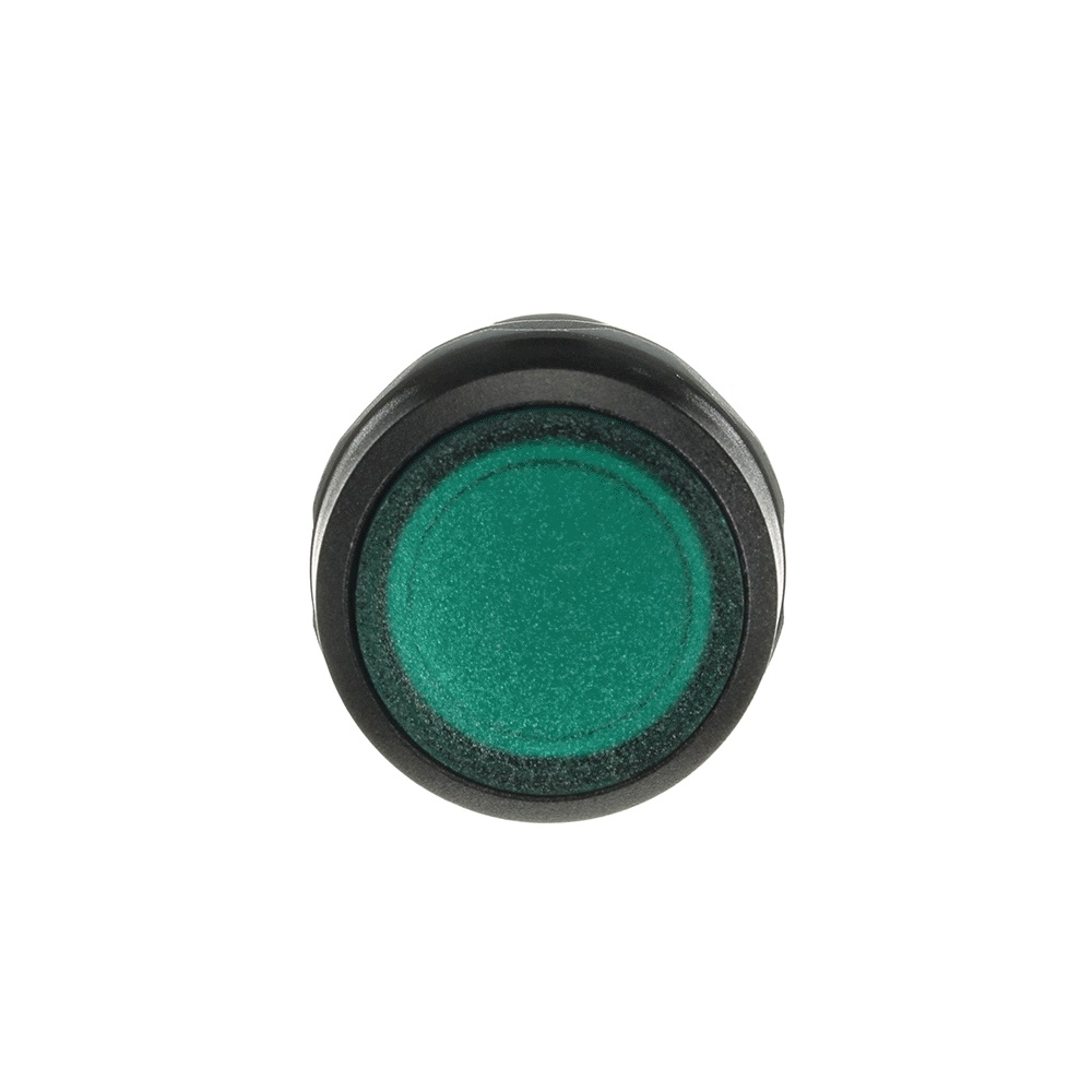 Pulsante compatto illuminato verde 1NO 230V per controllo circuiti elettrici industriali e civili