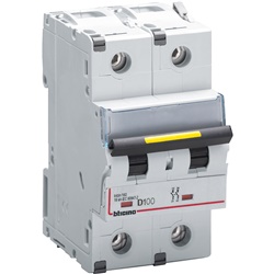 Interruttore magnetotermico 2P curva D 100A uso civile e industriale