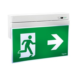 Exiway Smartexit, IP40, da Soccorritore 230V DALI, 26m, Apparecchio di segnalazione di sicurezza