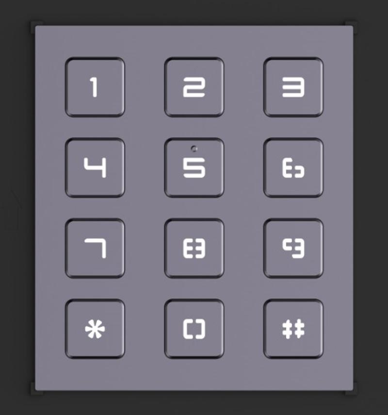 Modulo espansione tastiera 12 tasti controllo accessi parete incasso DS-KD-KP