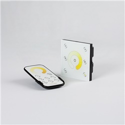 CONTROLLER TOUCH BICOLORE TELECOMAN