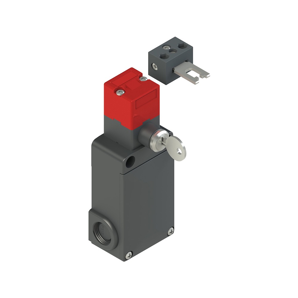 INTERRUTTORE DI SICUREZZA AD AZIONA