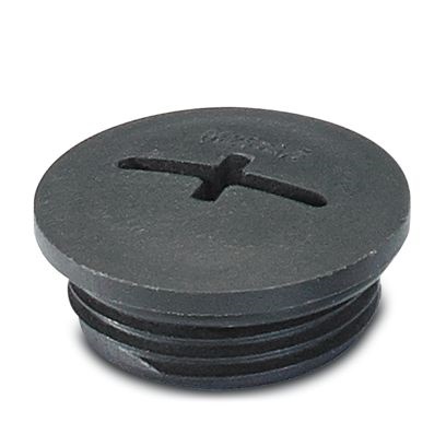 A-INSP-M20-65N-P-BK TAPPO A VITE